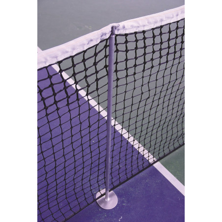 Paire de poteaux de simple en aluminium